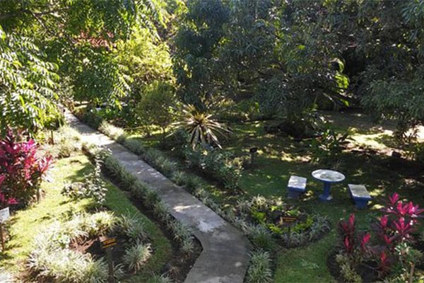 gardens