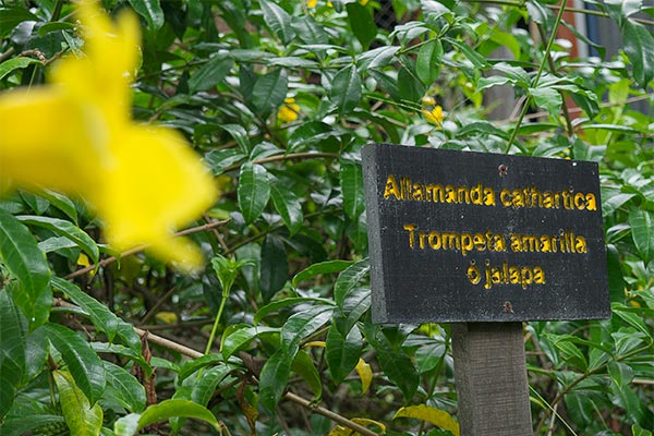 Sostenibilidad - Airport Hotel Costa Rica