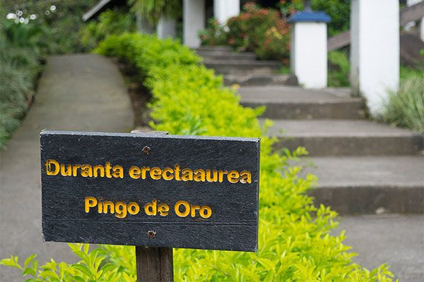 Sustainability - Airport Hotel Costa Rica